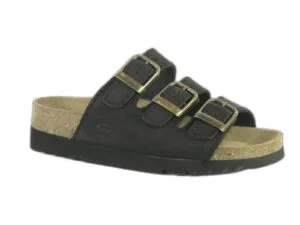 Scholl